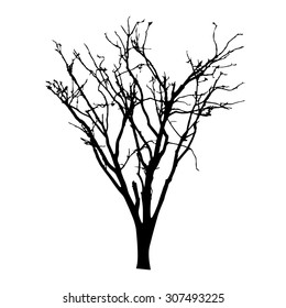vector black silhouette of a bare tree