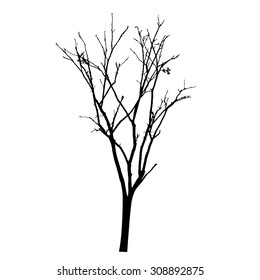 vector black silhouette of a bare tree