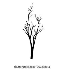 vector black silhouette of a bare tree