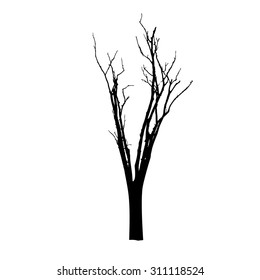 vector black silhouette of a bare tree