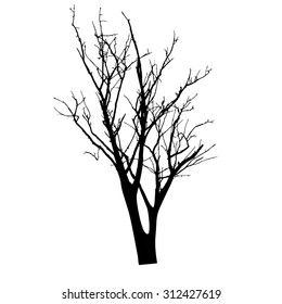 vector black silhouette of a bare tree