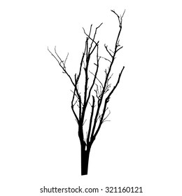 vector black silhouette of a bare tree