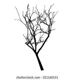 vector black silhouette of a bare tree