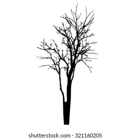vector black silhouette of a bare tree
