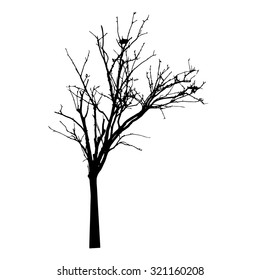 48,407 Old Tree Silhouette Winter Images, Stock Photos & Vectors ...