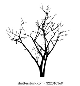 vector black silhouette of a bare tree