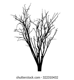 vector black silhouette of a bare tree