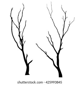 vector black silhouette of a bare tree