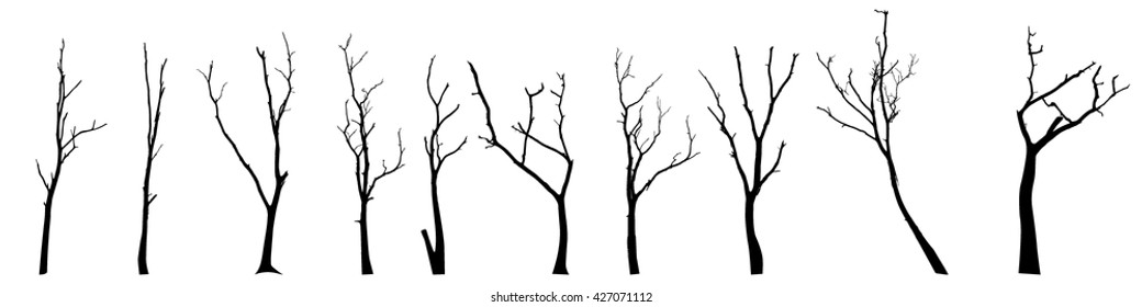 vector black silhouette of a bare tree