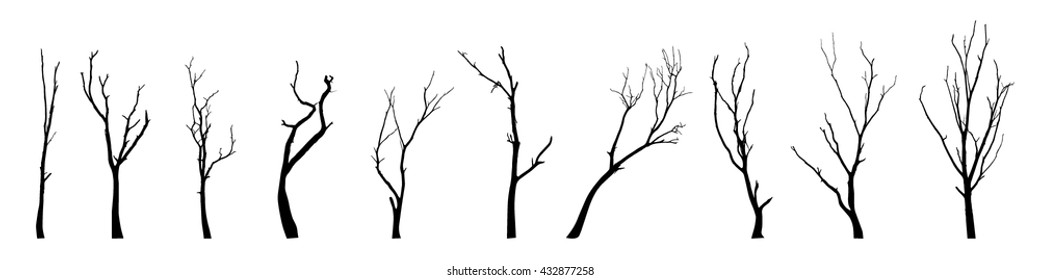 vector black silhouette of a bare tree - Shutterstock ID 432877258