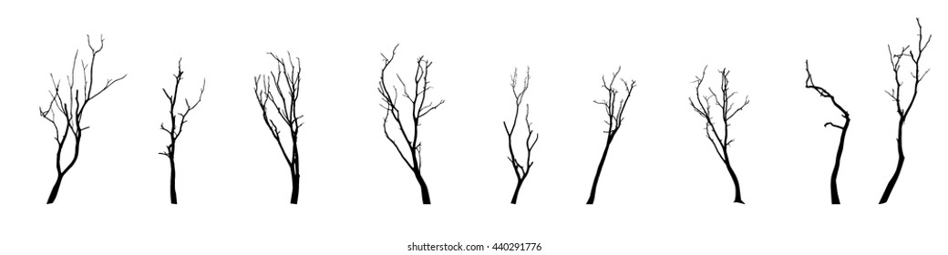 vector black silhouette of a bare tree