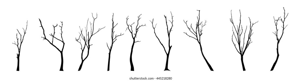 vector black silhouette of a bare tree