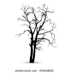vector black silhouette of a bare tree