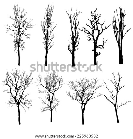 vector black silhouette of a bare tree