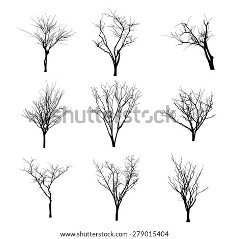 vector black silhouette of a bare tree
