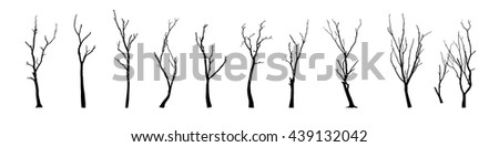 Similar – Image, Stock Photo View of bare branches and twigs against the bright sky