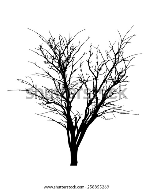 Vector Black Silhouette Bare Tree Stock Vector (Royalty Free) 258855269