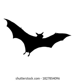 Vektorschwarze Silhouette des Bats. Halloween-Symbol.