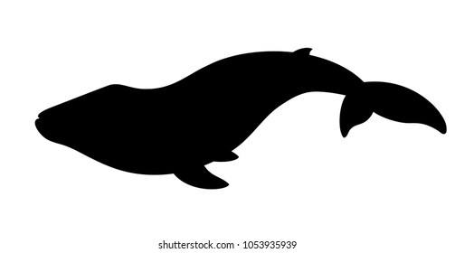 Vector black silhouette of blue whale isolated on white background