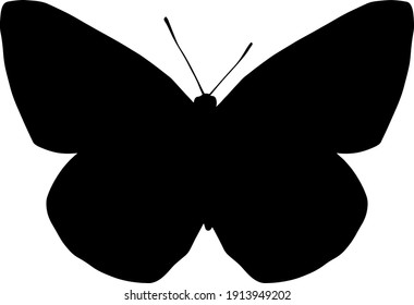 silueta negra vectorial de una mariposa aislada en fondo blanco