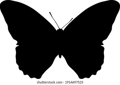 vector black silhouette of a butterfly isolated on white background