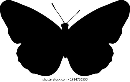 vector black silhouette of a butterfly isolated on white background