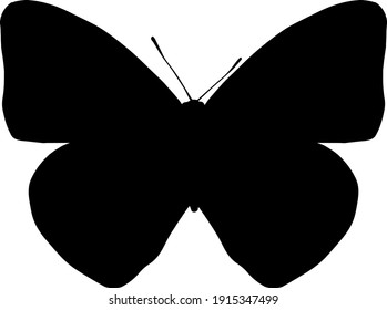 vector black silhouette of a butterfly isolated on white background