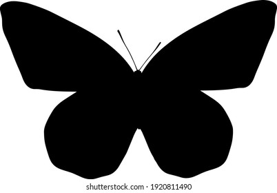 vector black silhouette of a butterfly isolated on white background