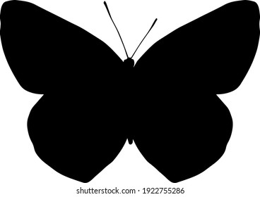 vector black silhouette of a butterfly isolated on white background