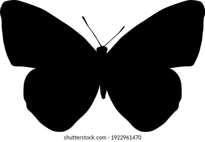 silueta negra vectorial de una mariposa aislada en fondo blanco
