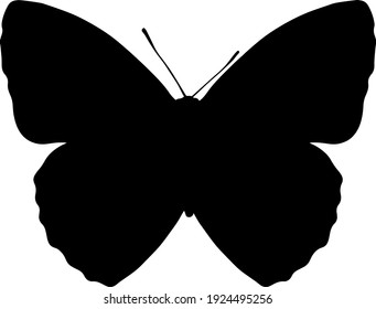 vector black silhouette of a butterfly isolated on white background