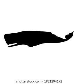 Vector Black Silhouette of Cachalot Whale