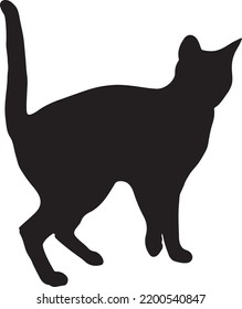 Vector de una silueta negra de un gato aislado sobre fondo blanco
