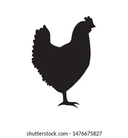 Vector black silhouette of chicken isolated on white background