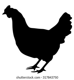 Vector black silhouette of the chicken isolated on white background