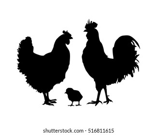 vector black silhouette of chickens family on white background