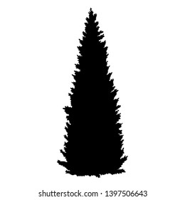 Vector Black Silhouette of Coniferous Tree