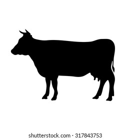 Vector black silhouette of the cow isolated on white background