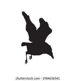 vector black silhouette of crow on the white background, silhouette of crows