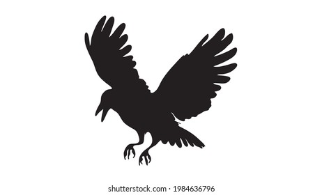 vector black silhouette of crow on the white background, silhouette of crows