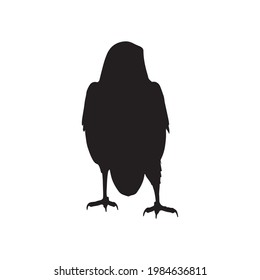 vector black silhouette of crow on the white background, silhouette of crows