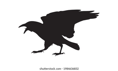 vector black silhouette of crow on the white background, silhouette of crows