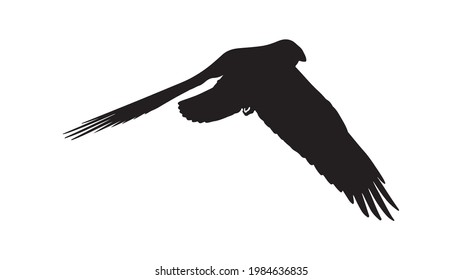 vector black silhouette of crow on the white background, silhouette of crows