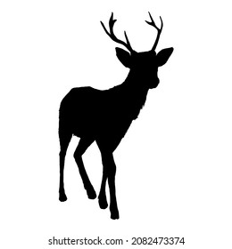 Vector Black Silhouette of Deer Standing Isolated White Background