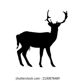 Vector black silhouette of a deer, wild animal vector icon, vector illustration.