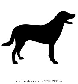 Vector black silhouette of a dog