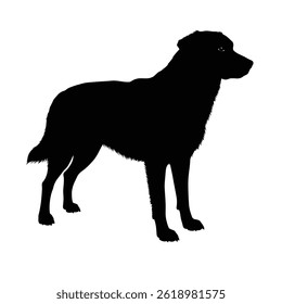 Vector black silhouette of a dog isolated on a white background.