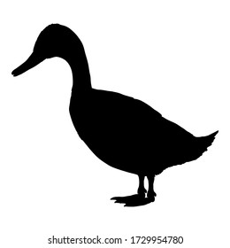 Silueta negra vectorial del pato