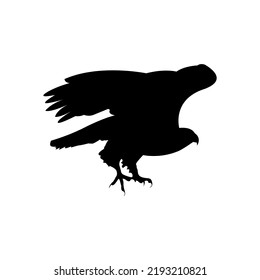 Vector black silhouette of an eagle, bird of prey flat vector illustration.