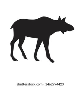 Vector black silhouette of female moose cow  isolated on white background